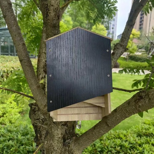 Bat house kit box - bat,